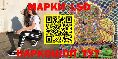 гашик Аргун