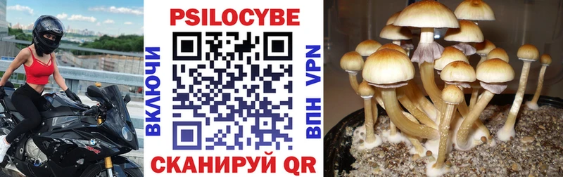 Псилоцибиновые грибы GOLDEN TEACHER магазин наркотиков Апатиты