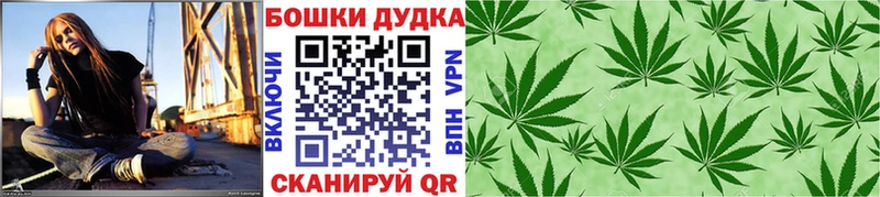 Каннабис конопля  Апатиты 
